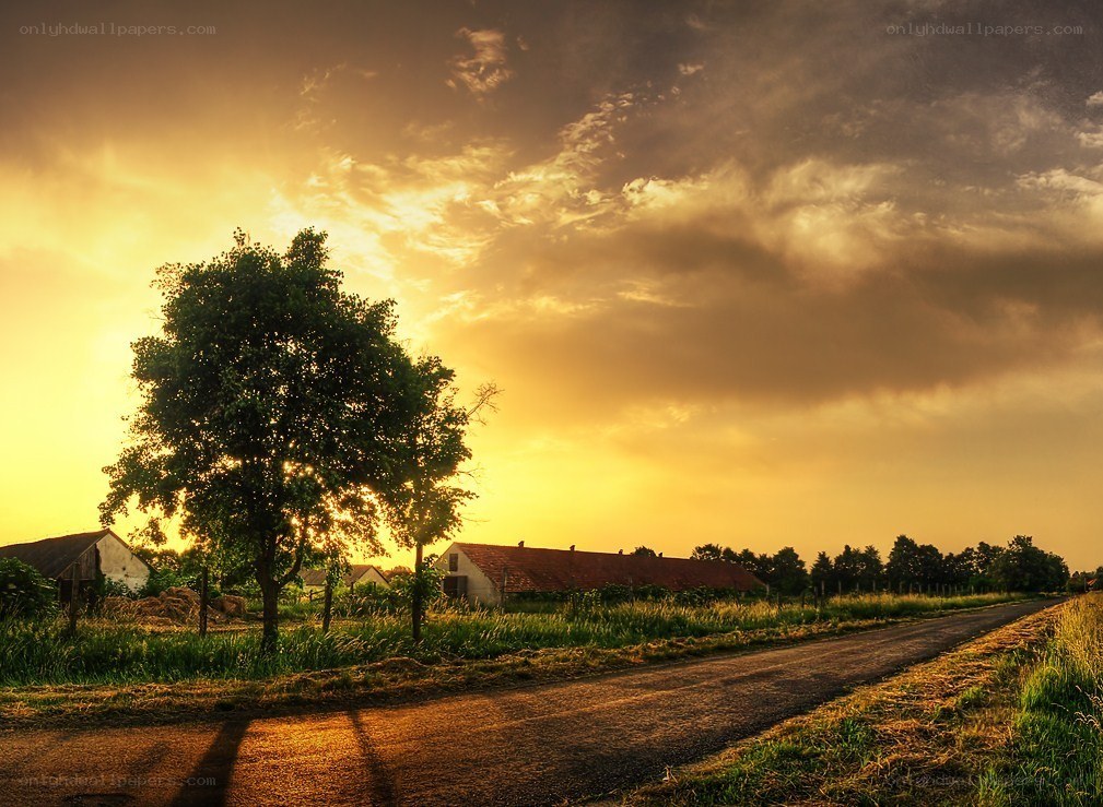 Sunset over a rural road