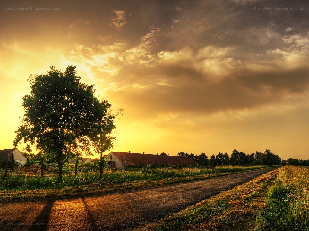 Sunset over a rural road
