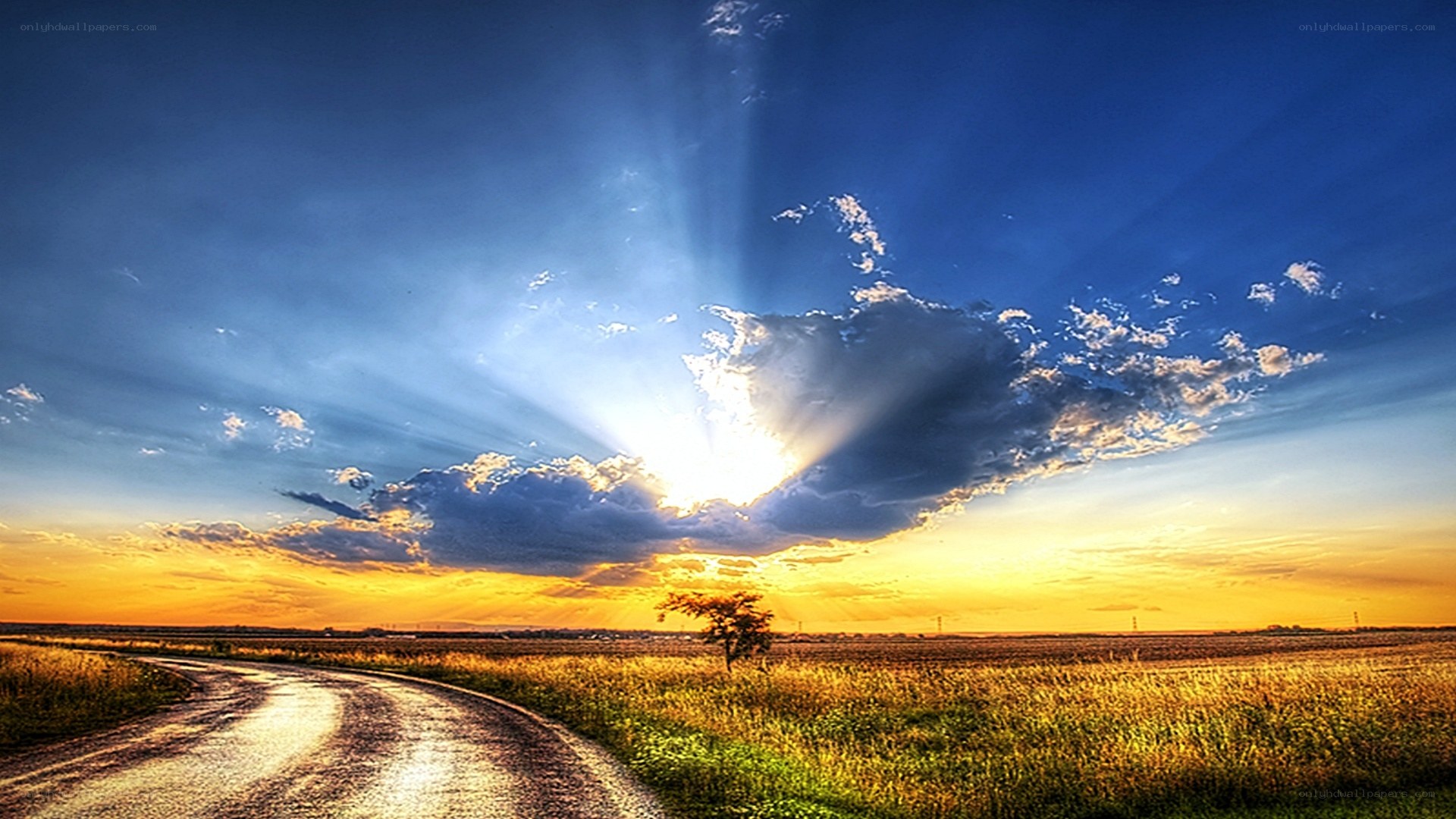 Sunset over a rural road