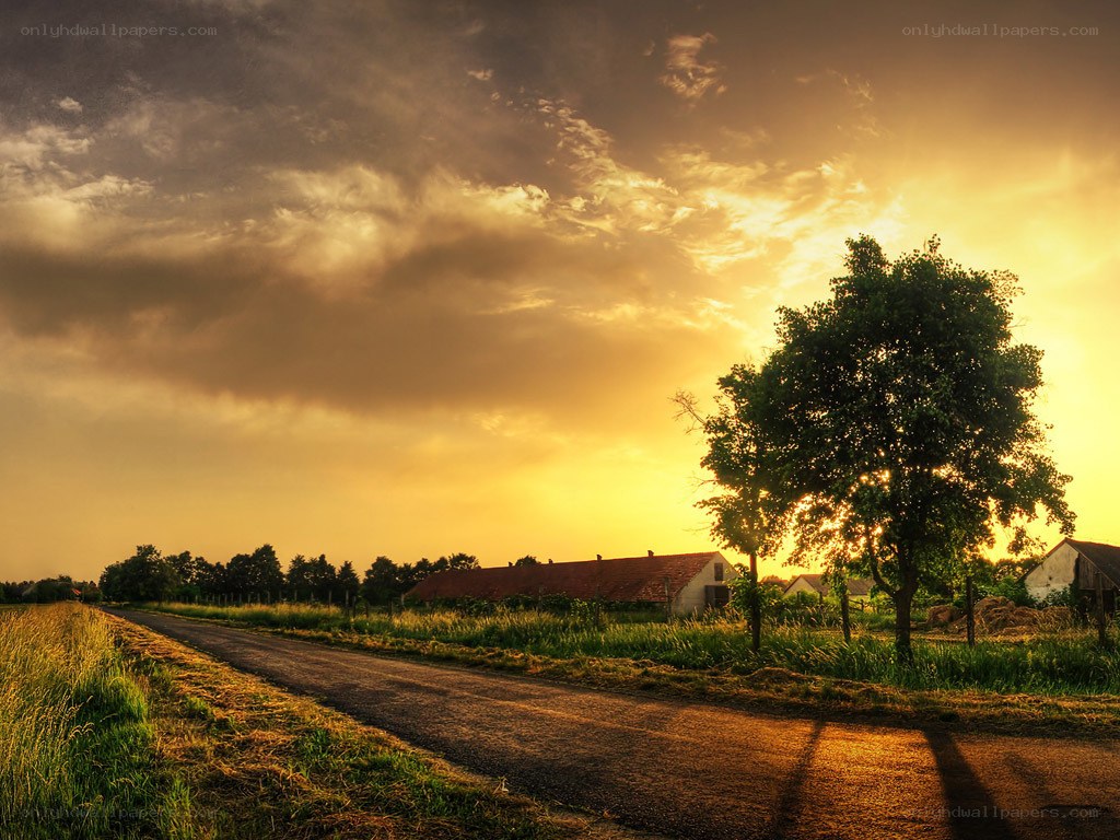 Sunset over a rural road