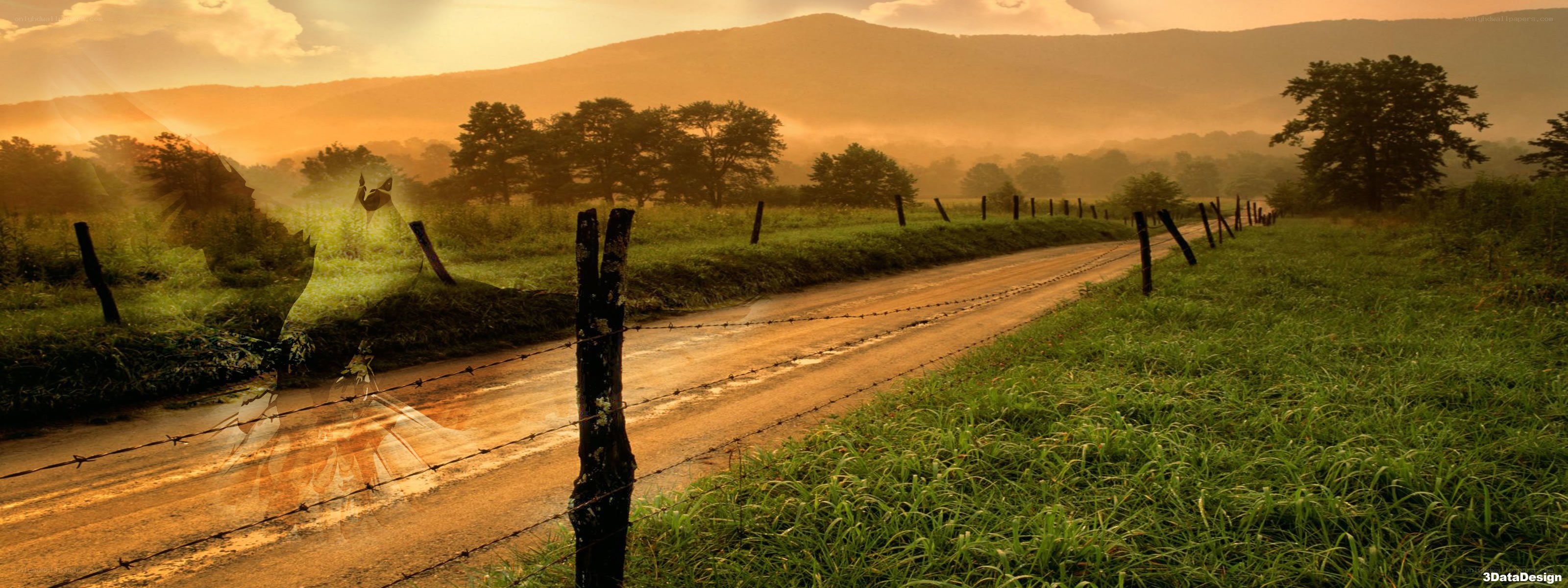 Sunset over a rural road
