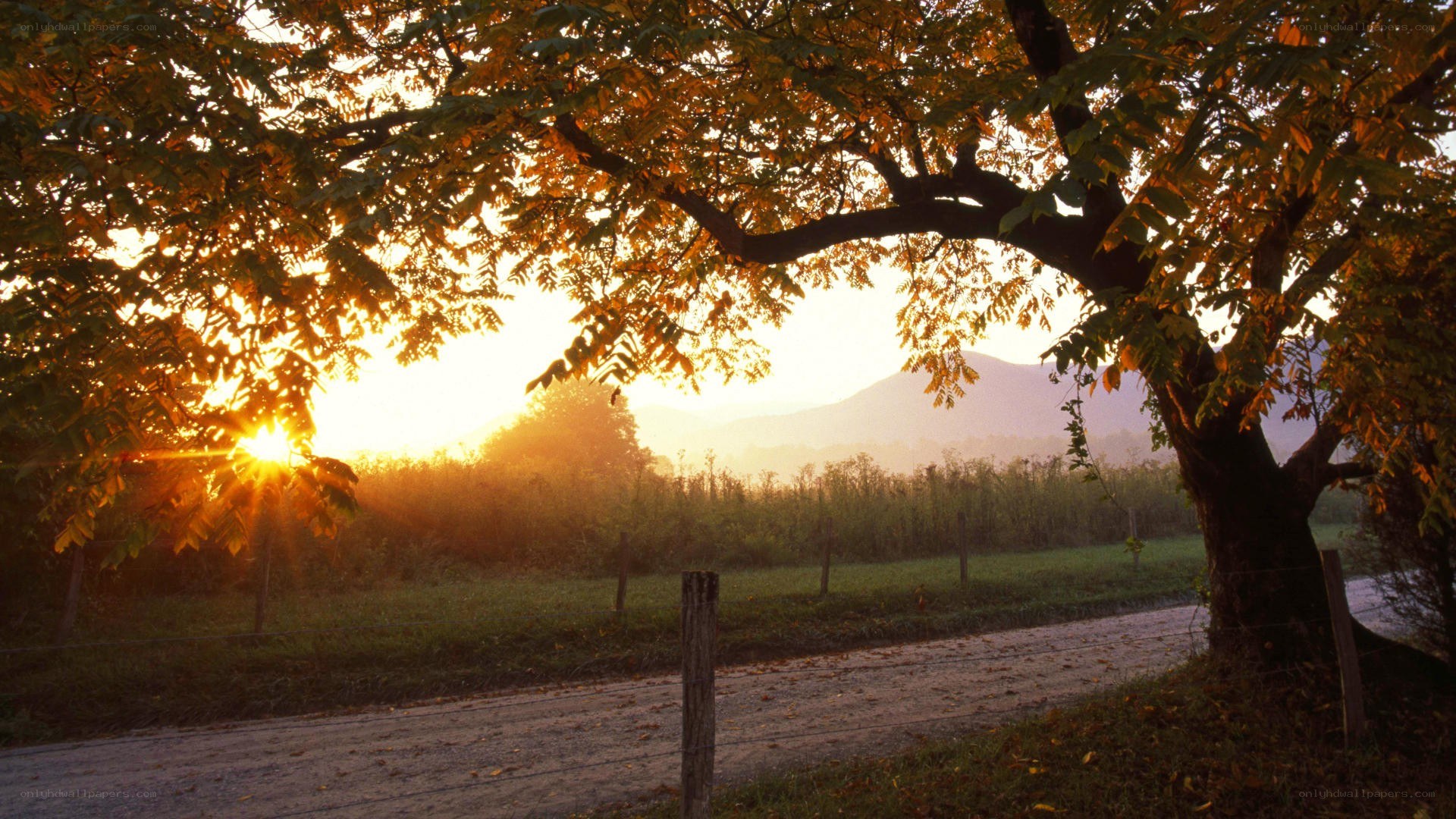 Sunset over a rural road