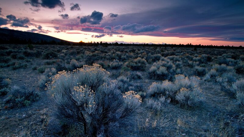 Sunset over a sagebrush field