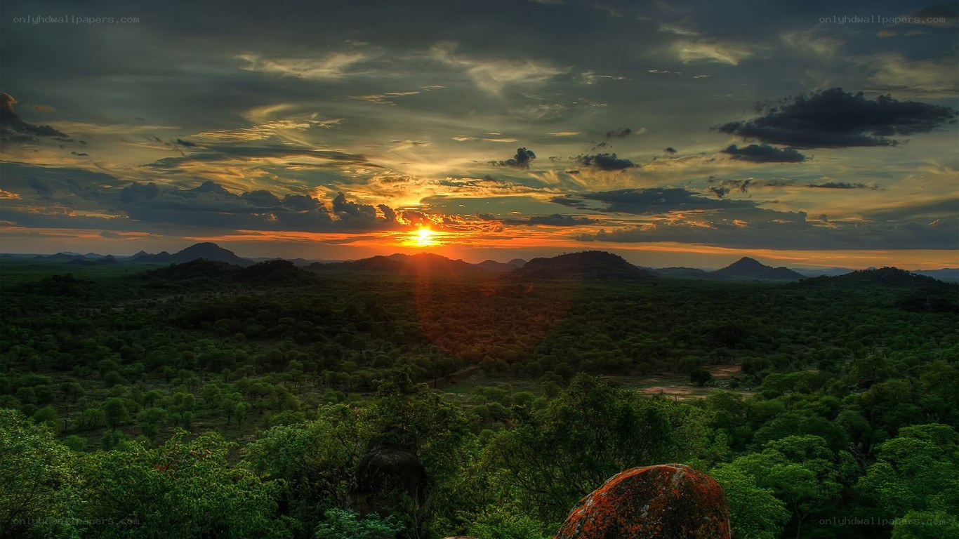 Sunset over a savanna landscape