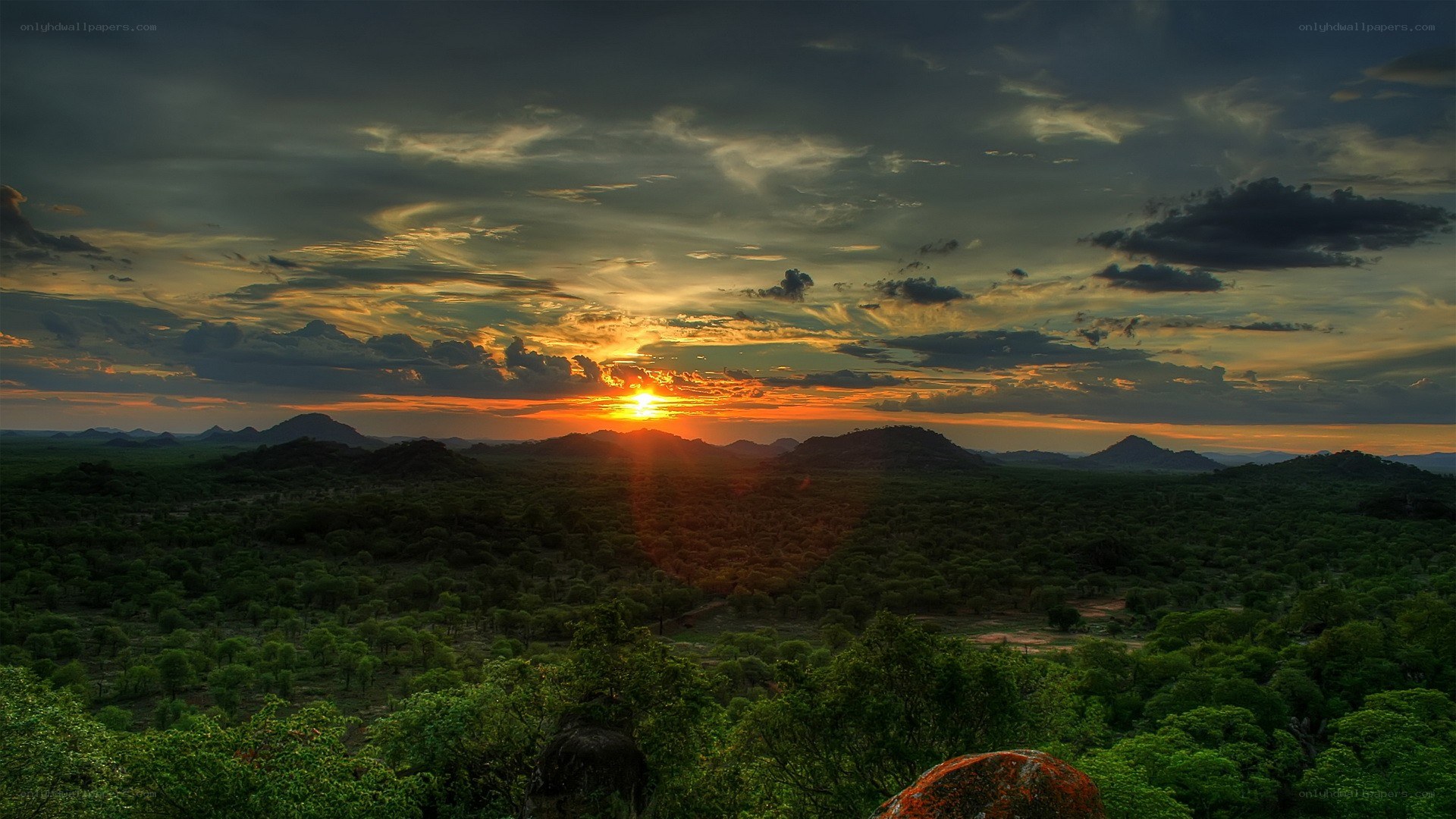 Sunset over a savanna landscape