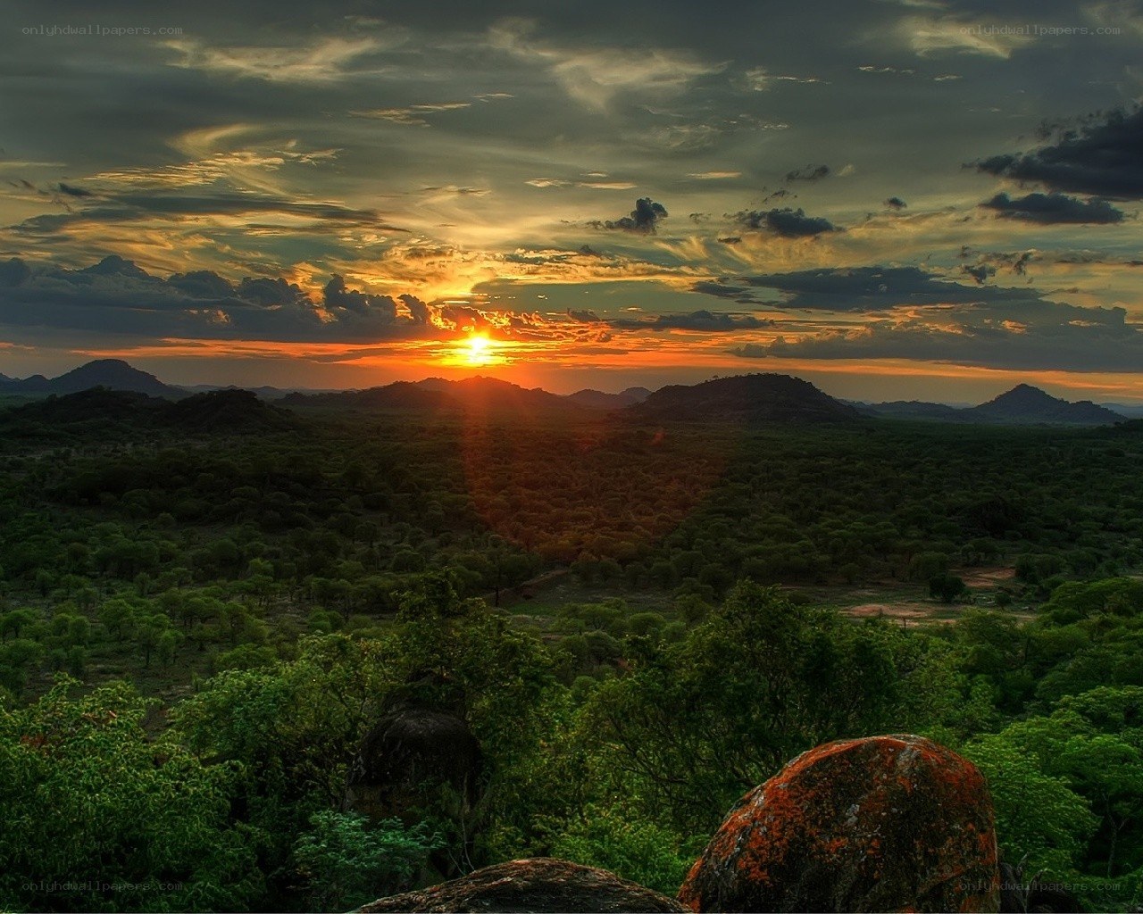 Sunset over a savanna landscape