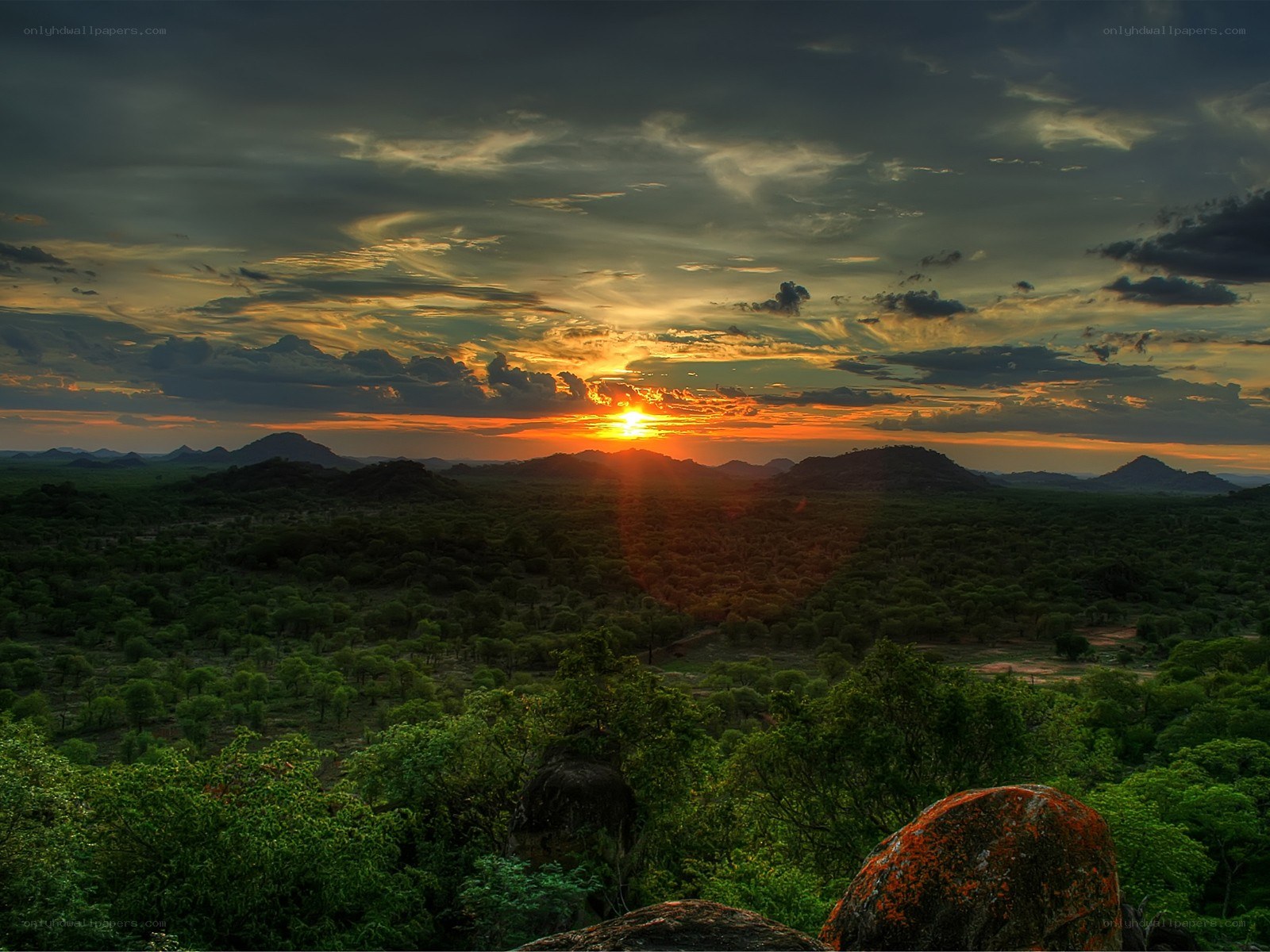 Sunset over a savanna landscape