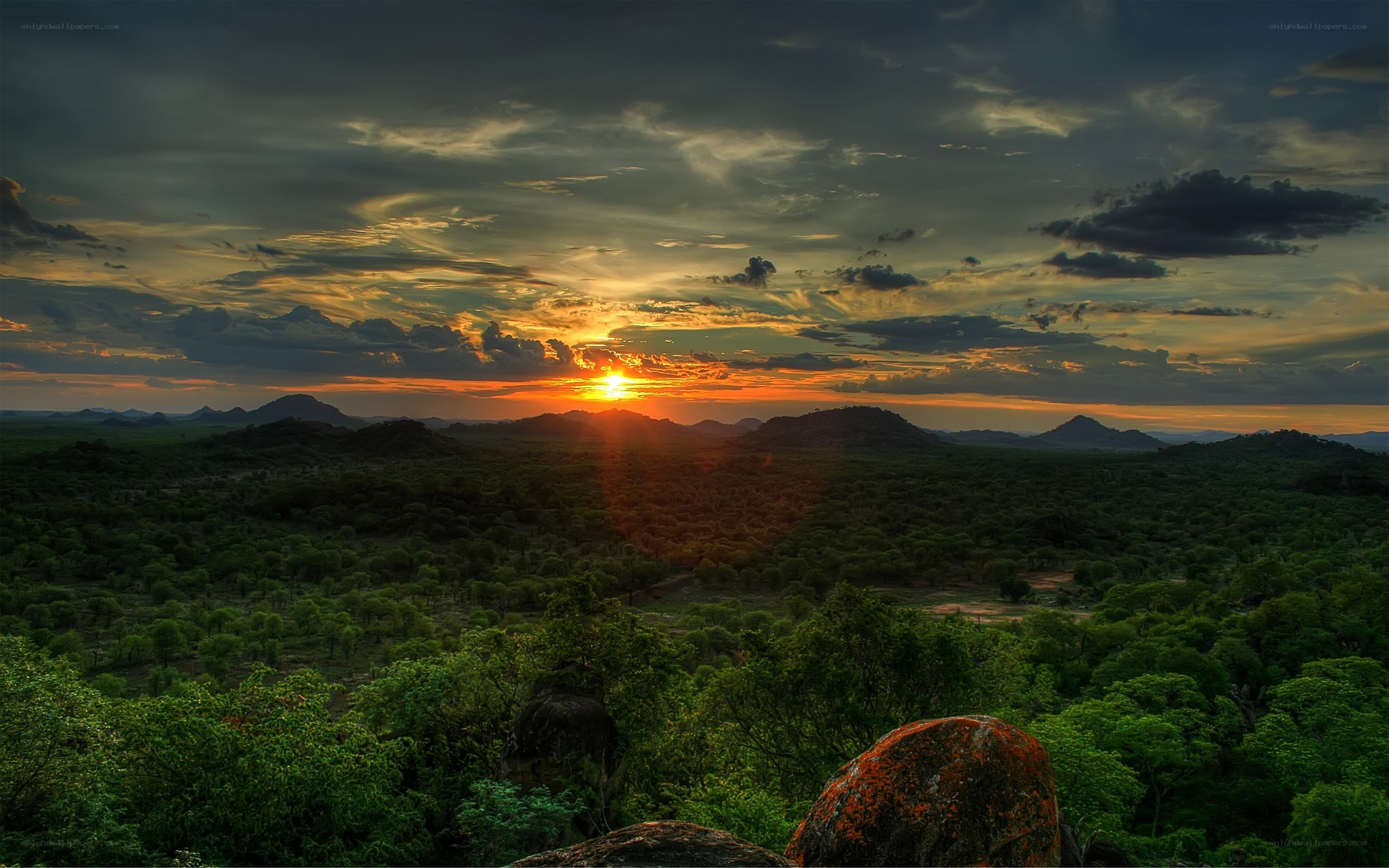 Sunset over a savanna landscape