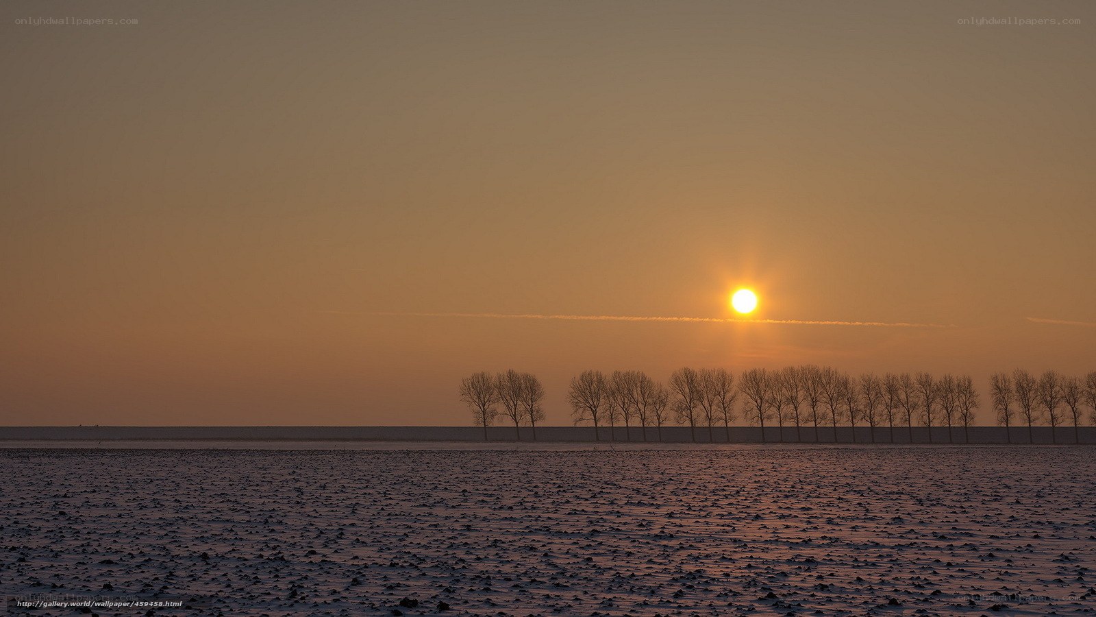 Sunset over a snowy field