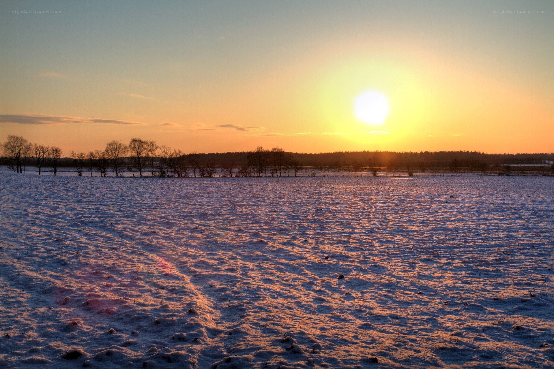 Sunset over a snowy field