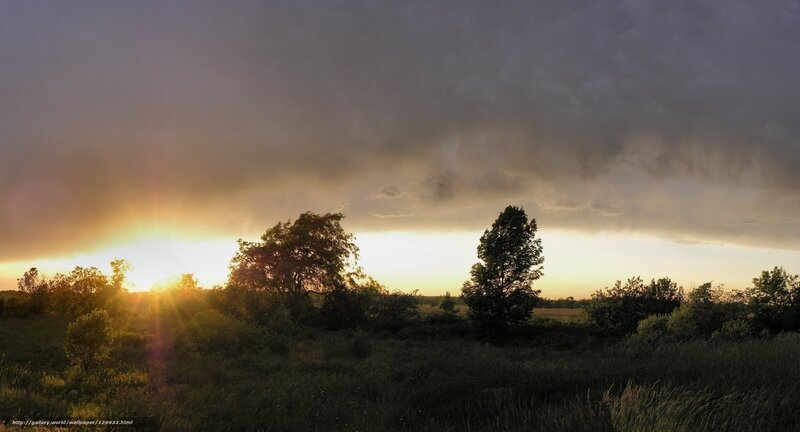 Sunset over a stormy field