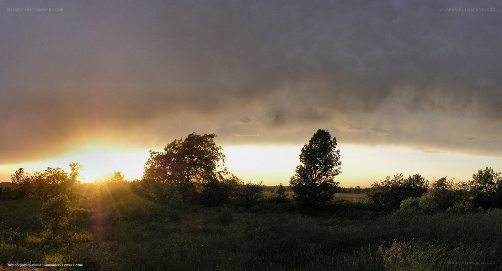 Sunset over a stormy field