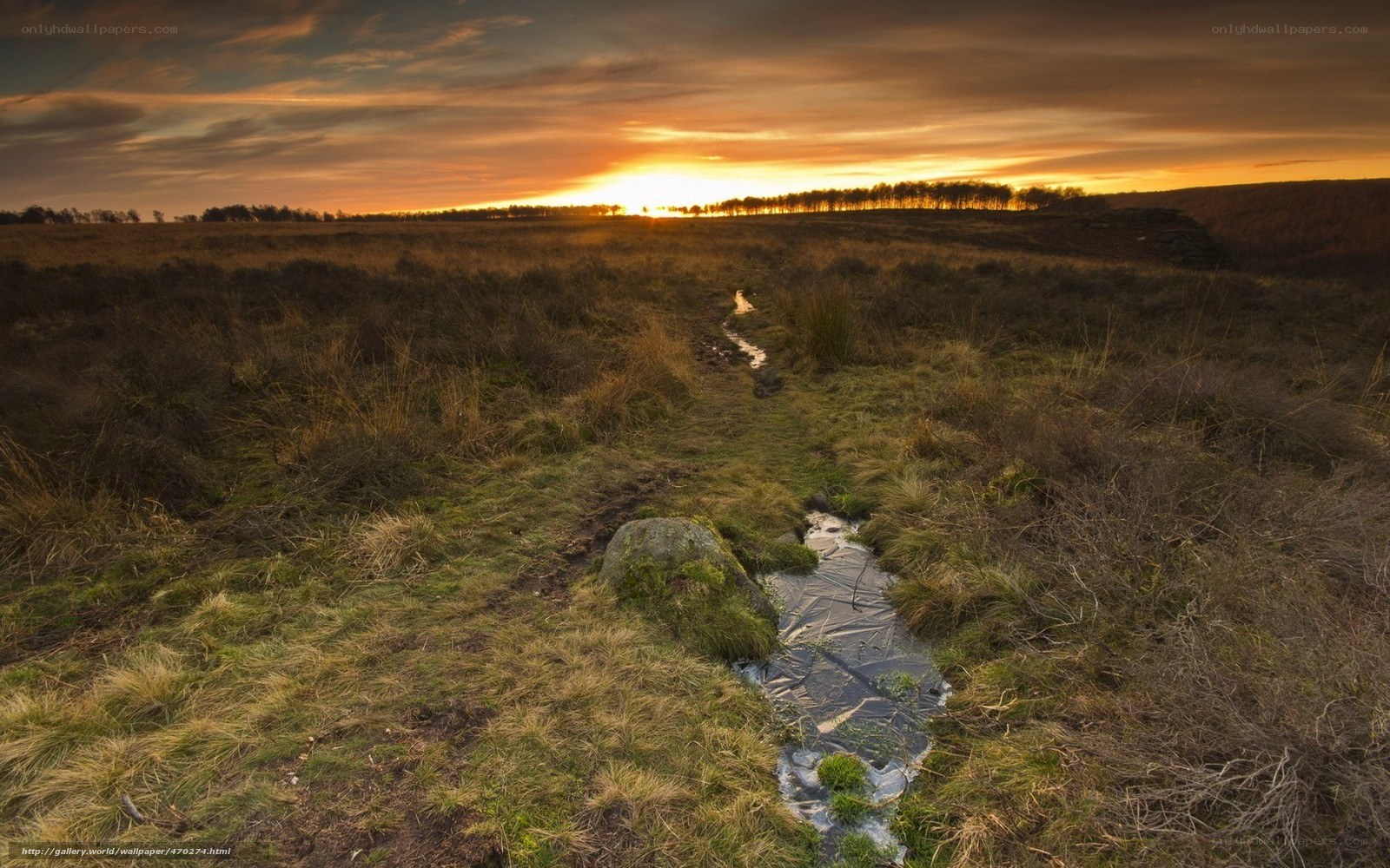 Sunset over a stream in the moor