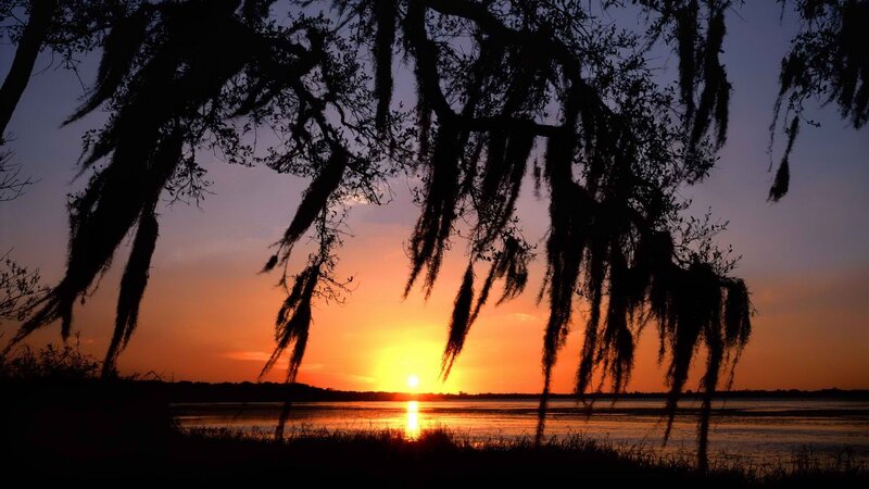 Sunset over a swamp