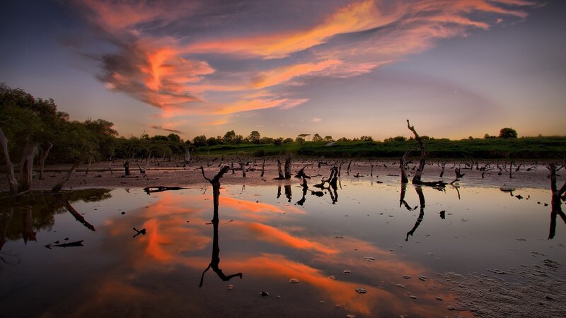 Sunset over a swamp