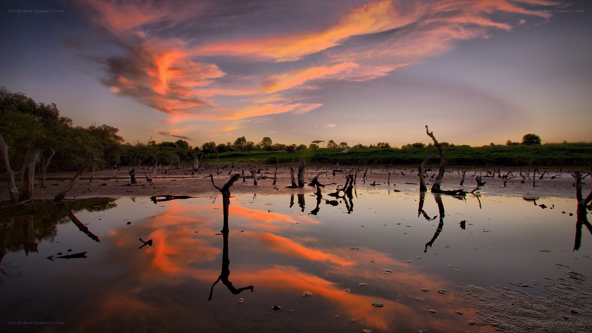Sunset over a swamp