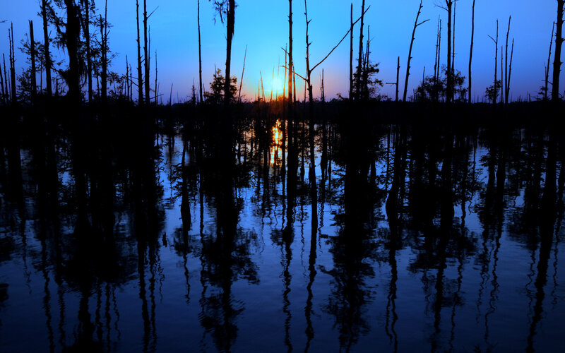 Sunset over a swamp