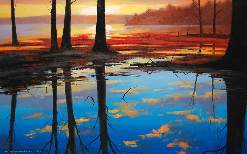 Sunset over a swamp