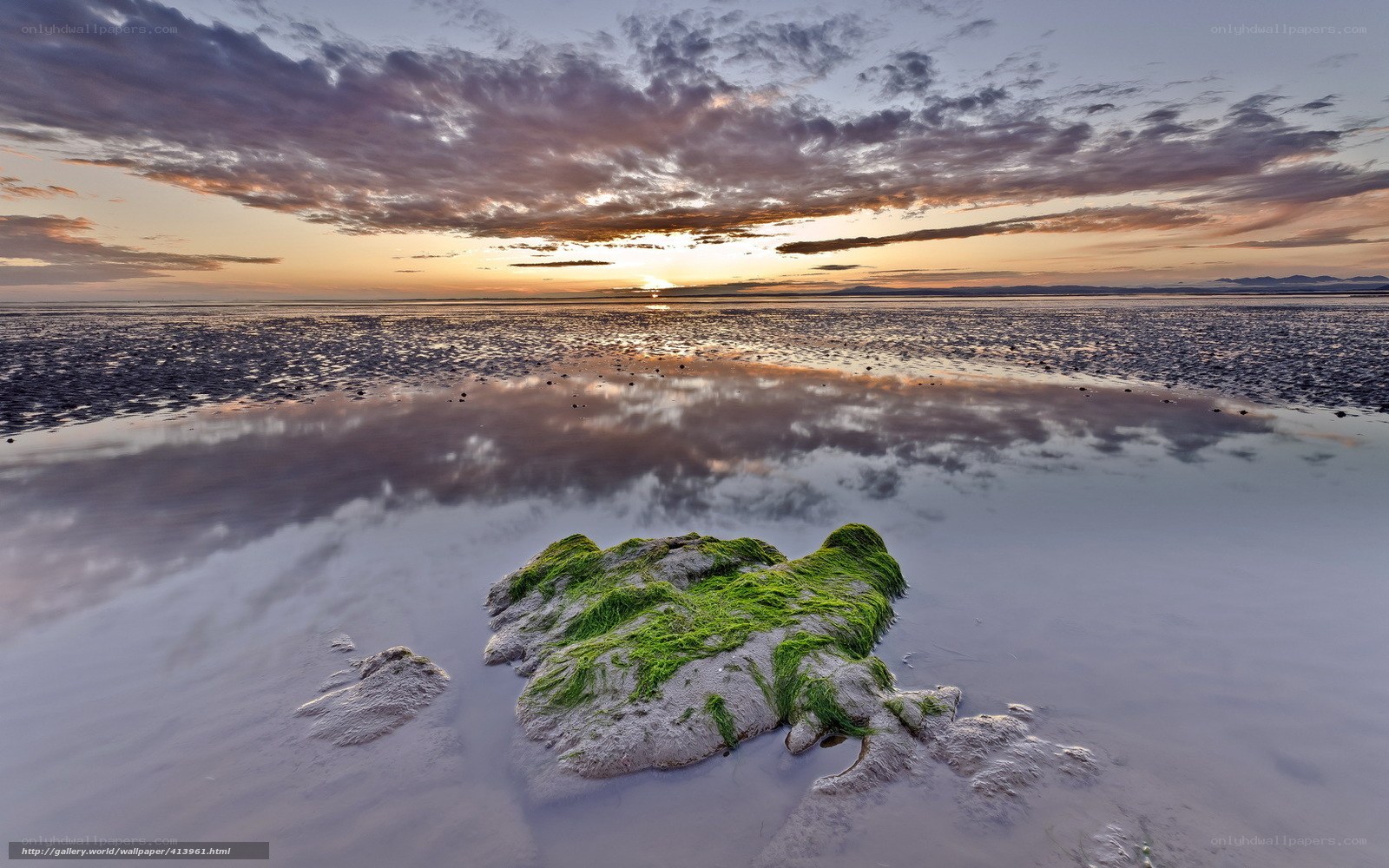 Sunset over a tidal flat