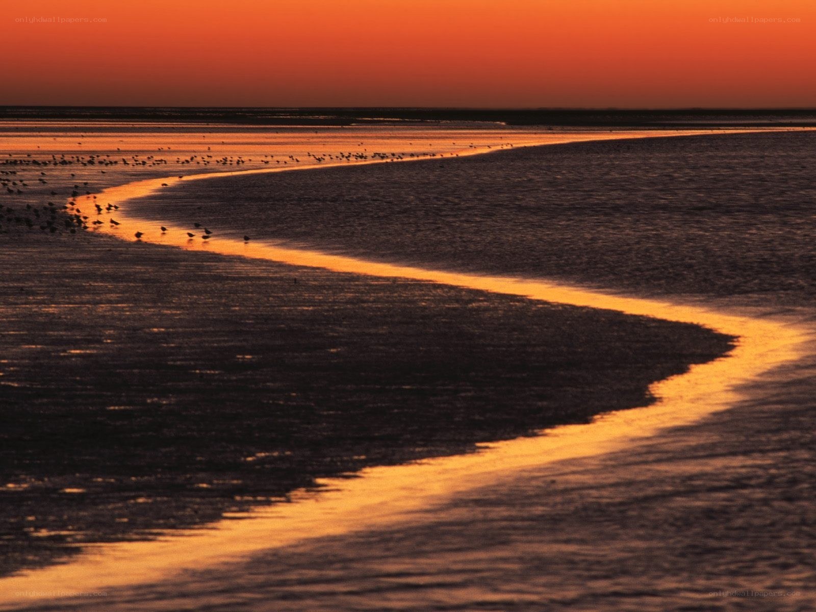 Sunset over a tidal flat