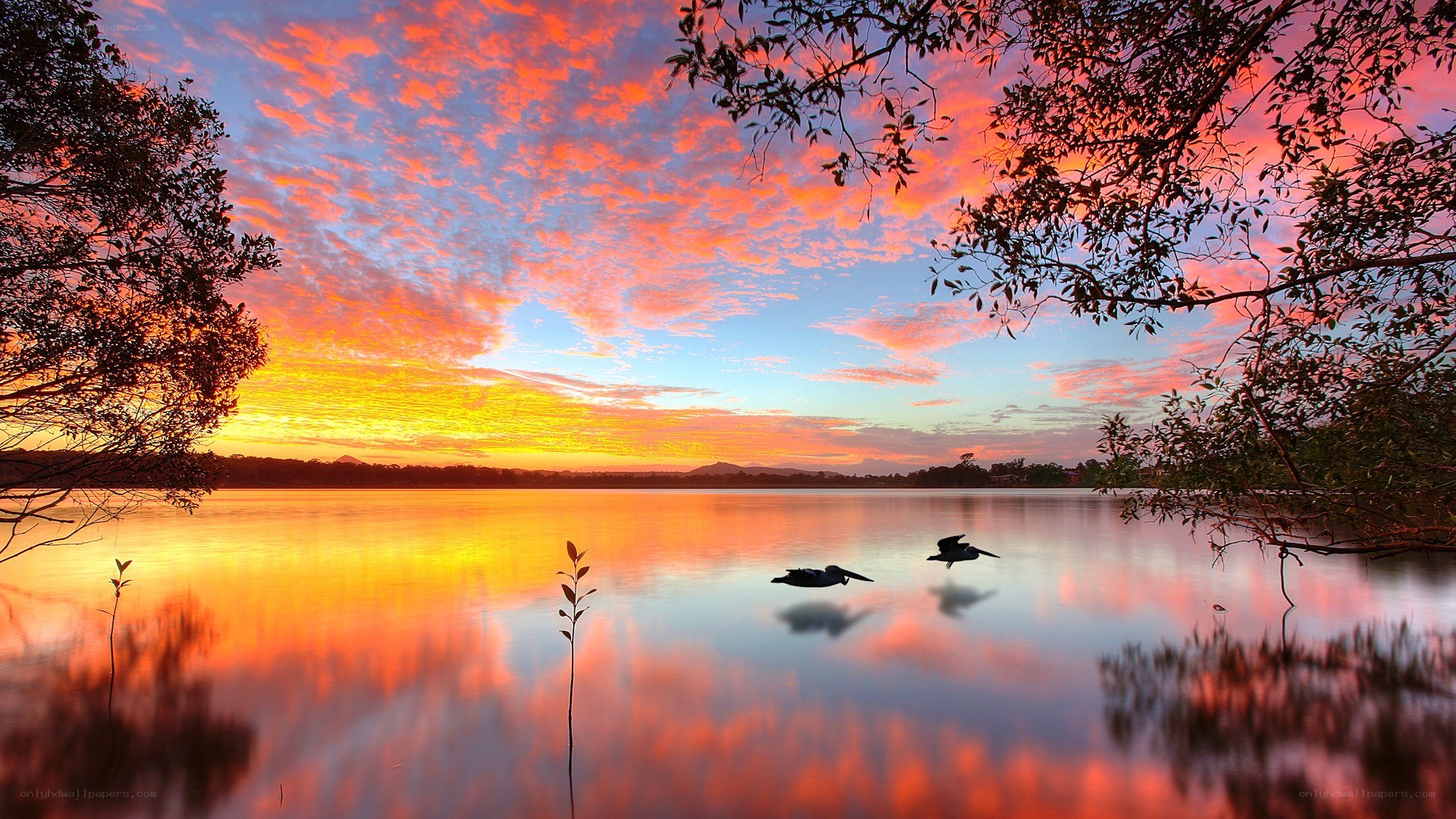 Sunset over a tranquil lake
