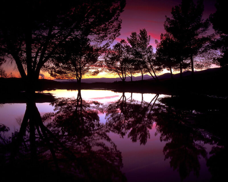 sunset over a tranquil lake