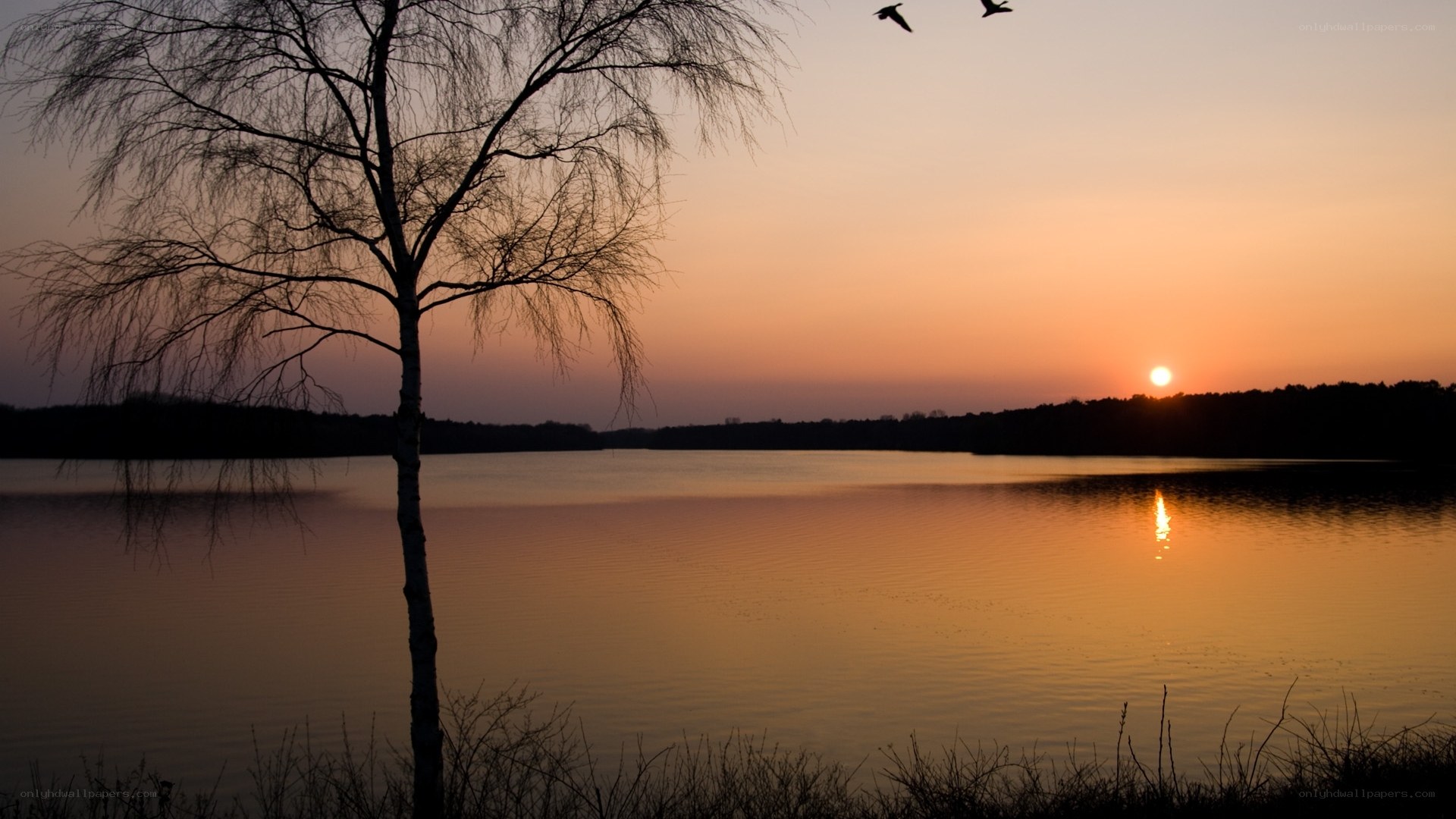 Sunset over a tranquil lake