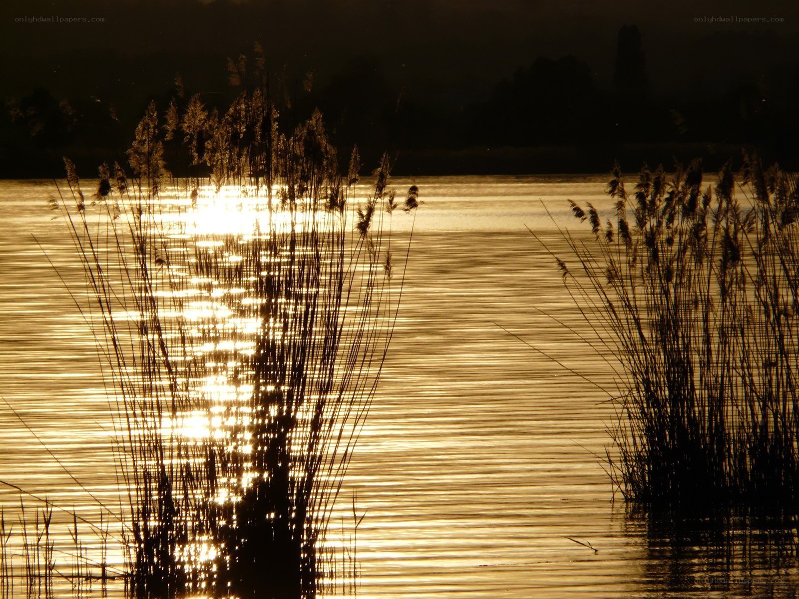 Sunset over a tranquil lake