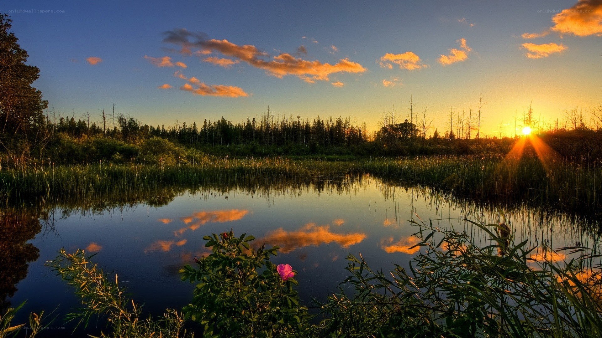 Sunset over a tranquil marsh