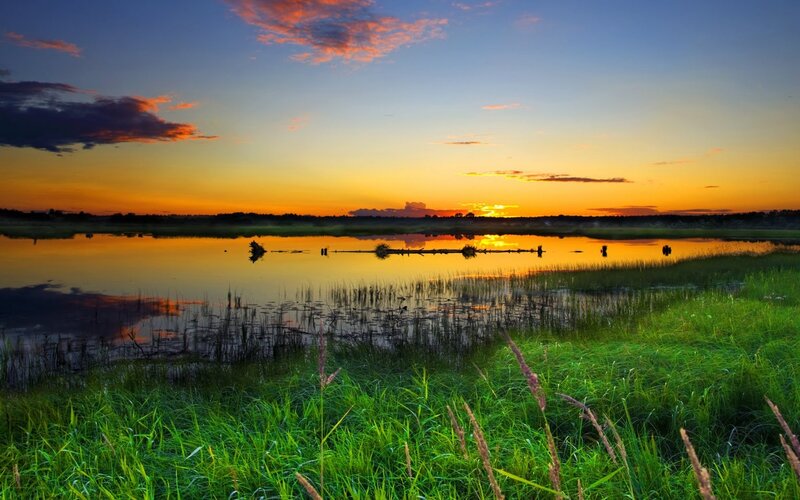 Sunset over a tranquil marsh