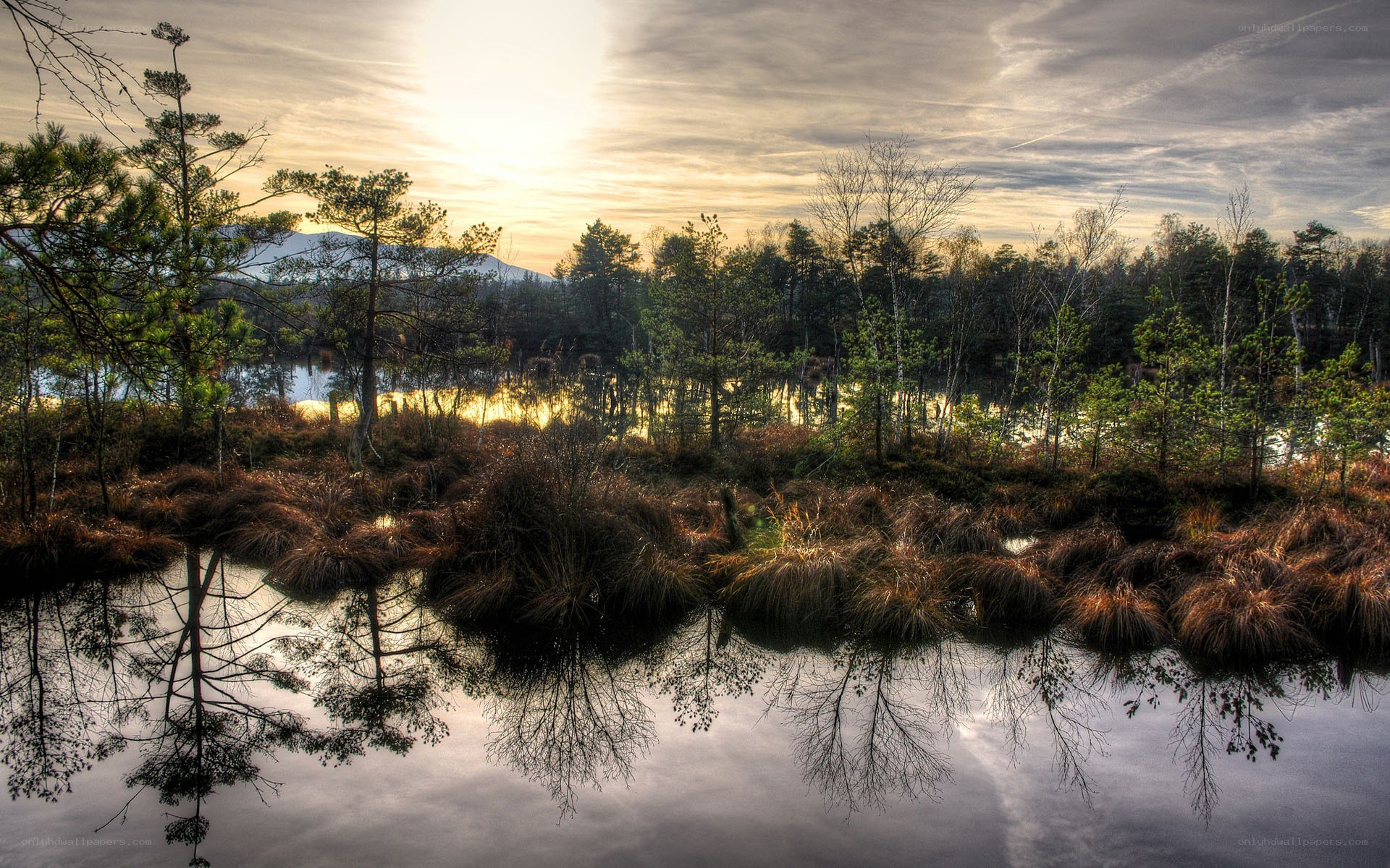 Sunset over a tranquil marsh