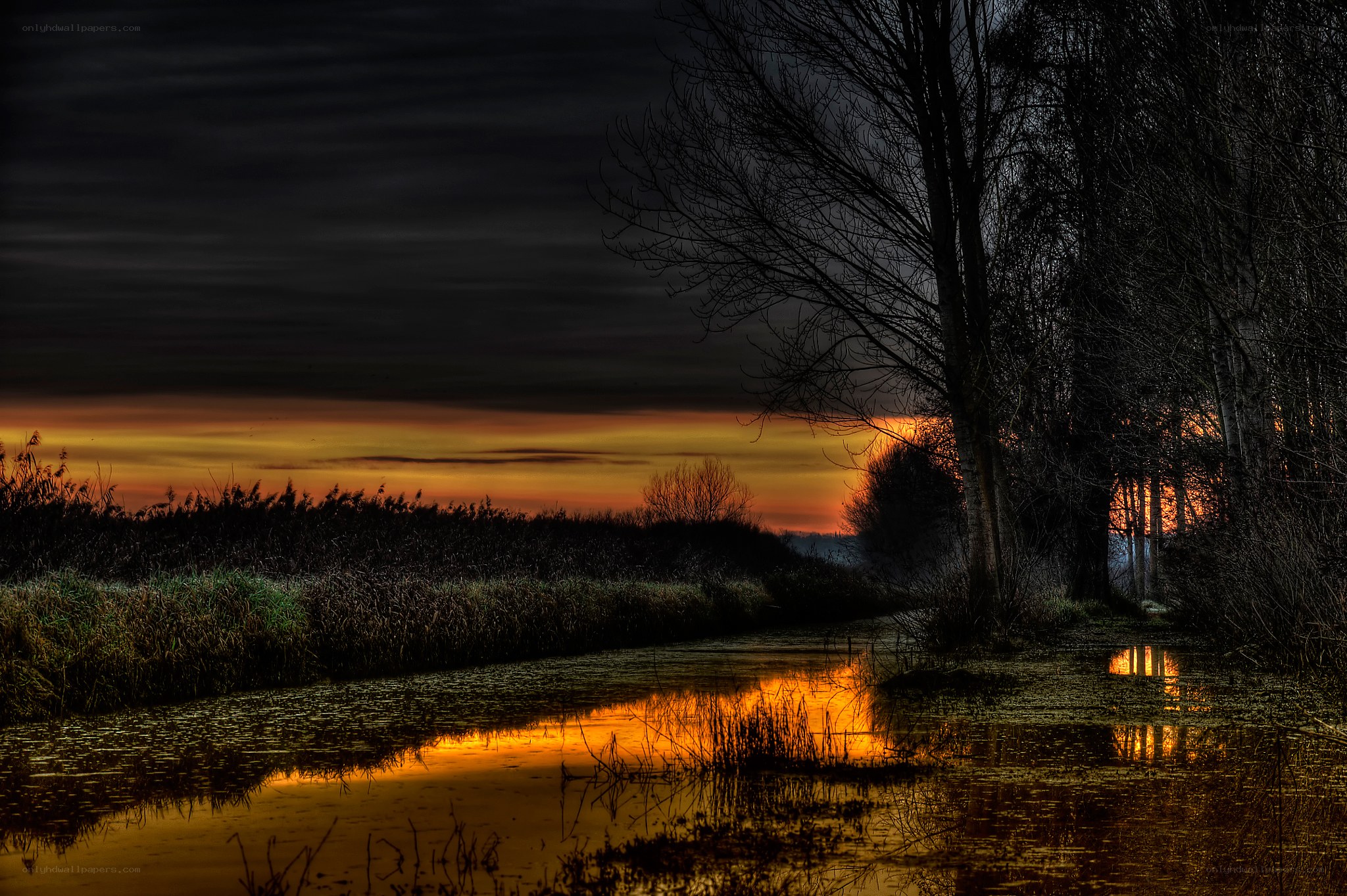Sunset over a tranquil marsh