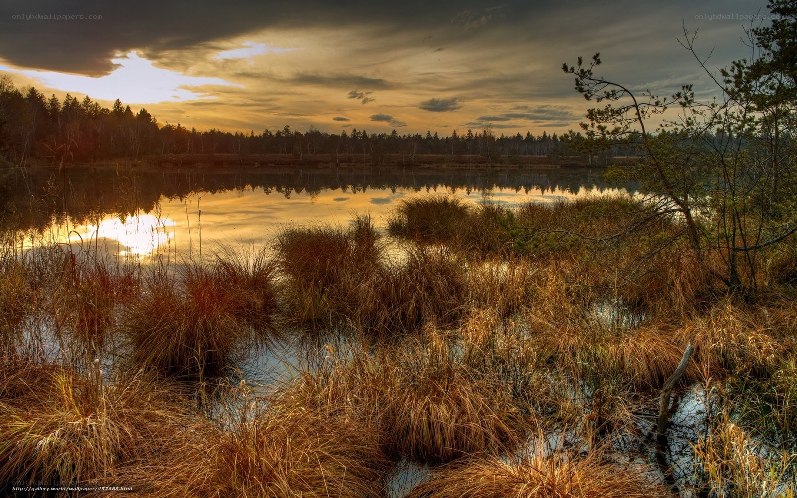 Sunset over a tranquil marsh