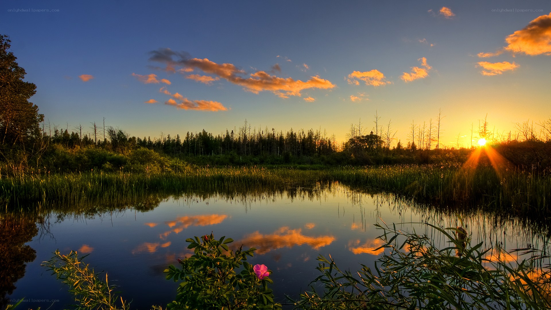 Sunset over a tranquil marsh