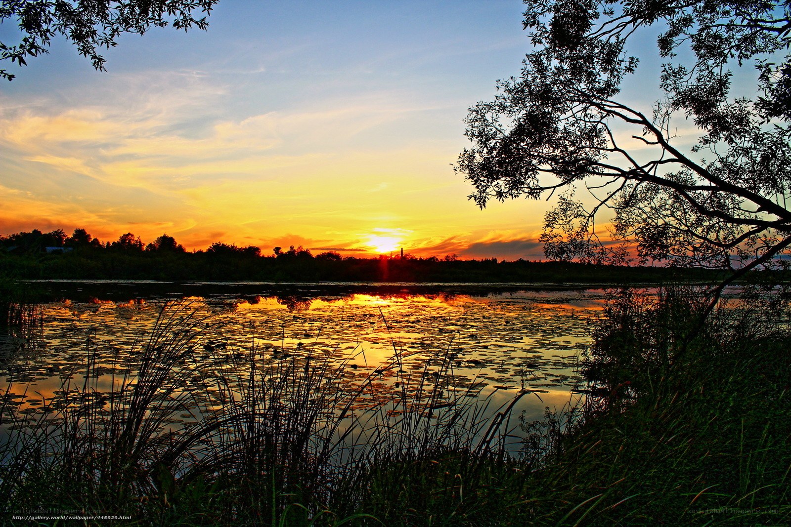 Sunset over a tranquil pond