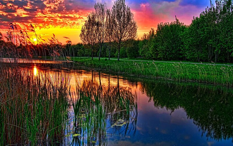 Sunset over a tranquil pond