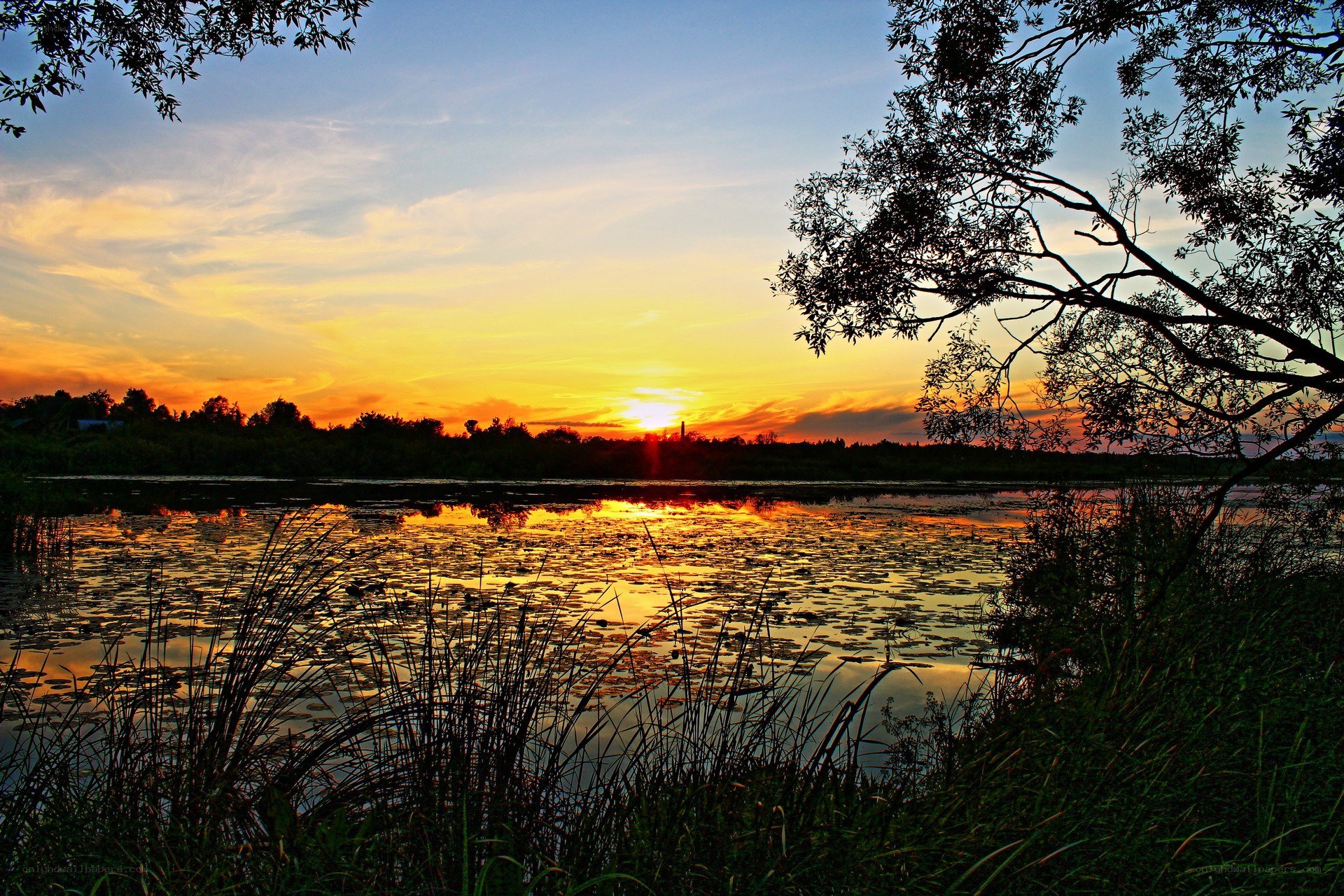 Sunset over a tranquil pond