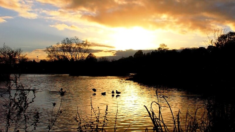Sunset over a tranquil pond