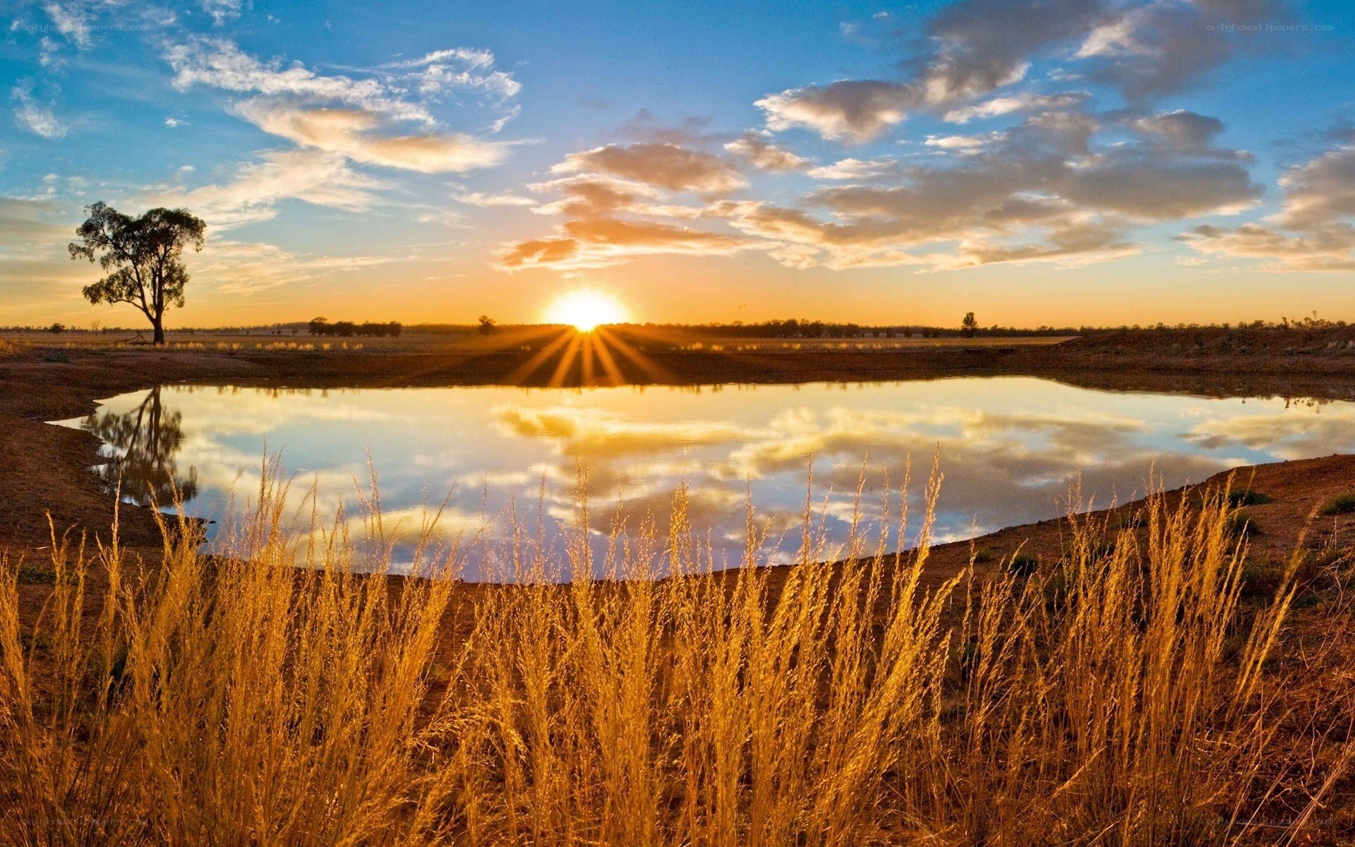 Sunset over a tranquil pond
