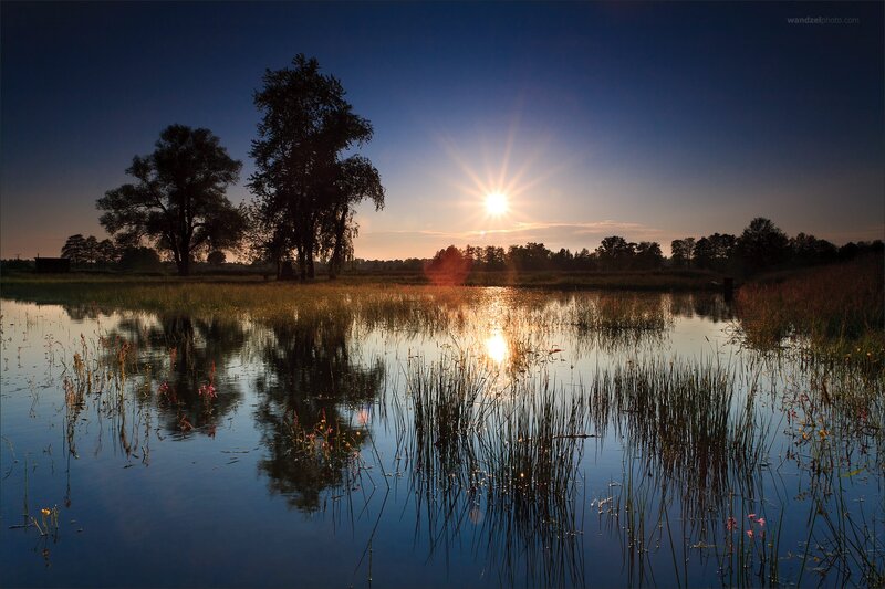Sunset over a tranquil pond