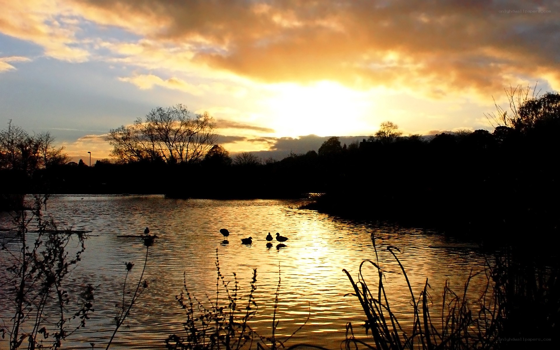 Sunset over a tranquil pond