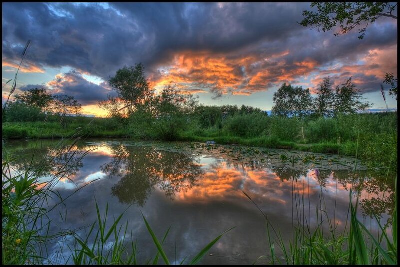 Sunset over a tranquil pond
