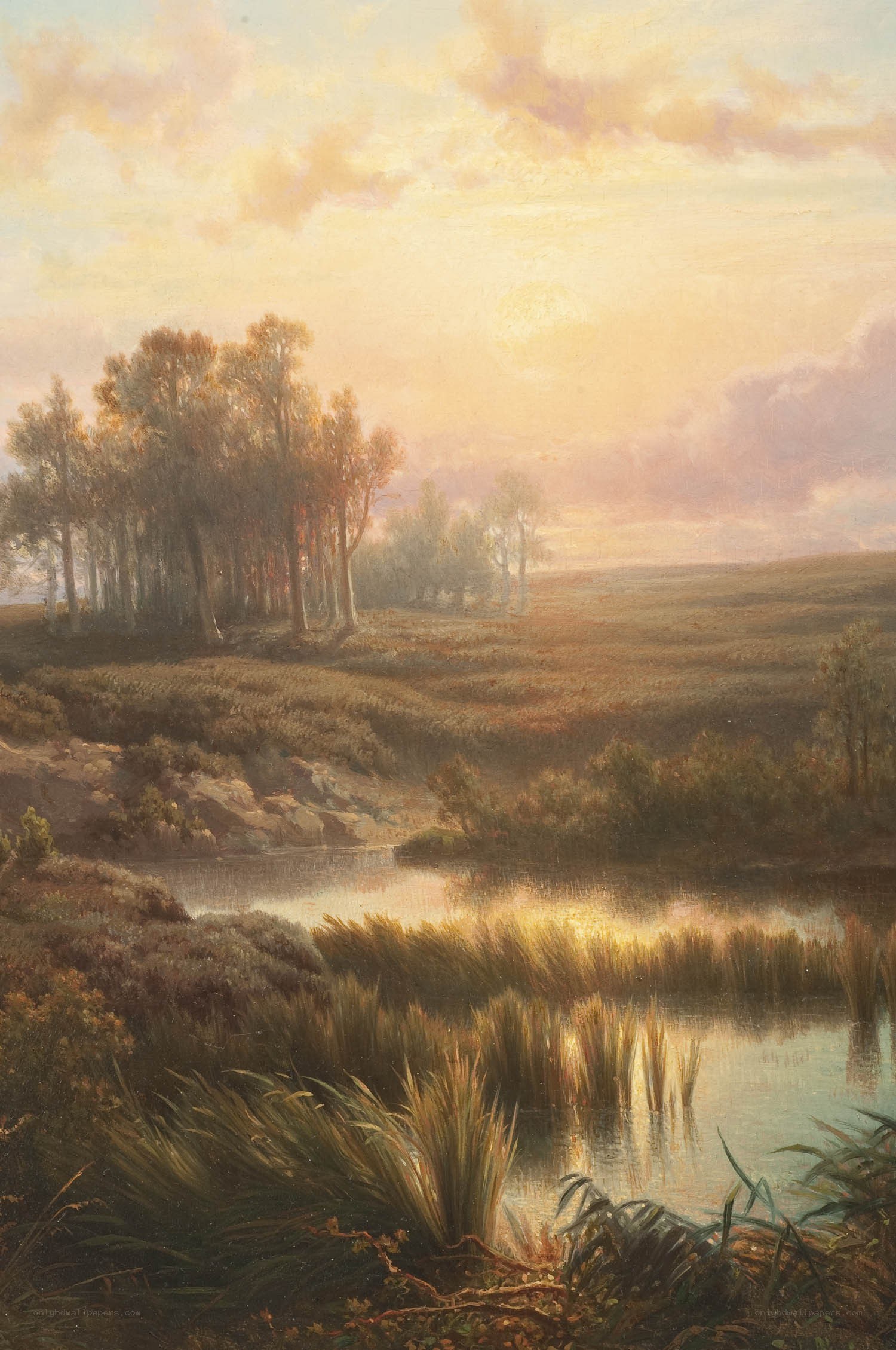 Sunset over a tranquil river