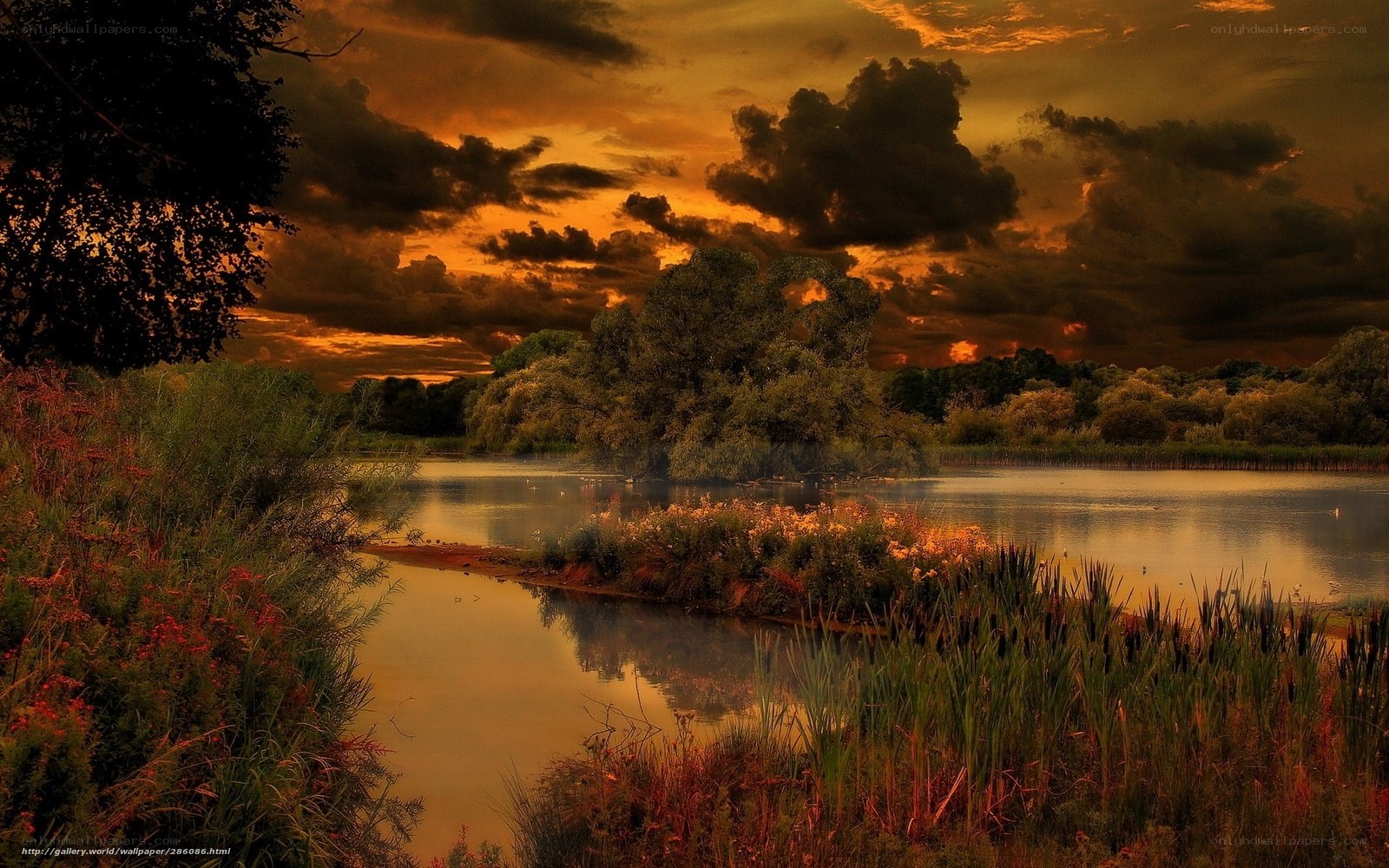 Sunset over a tranquil river