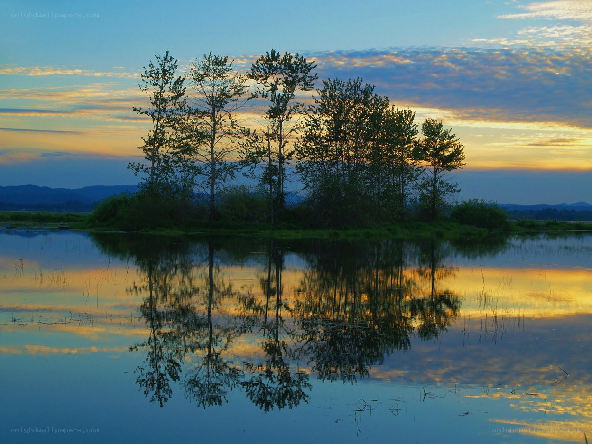 Sunset over a tranquil wetland