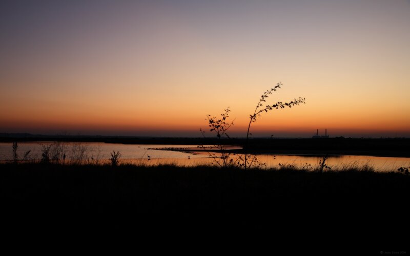 Sunset over a tranquil wetland