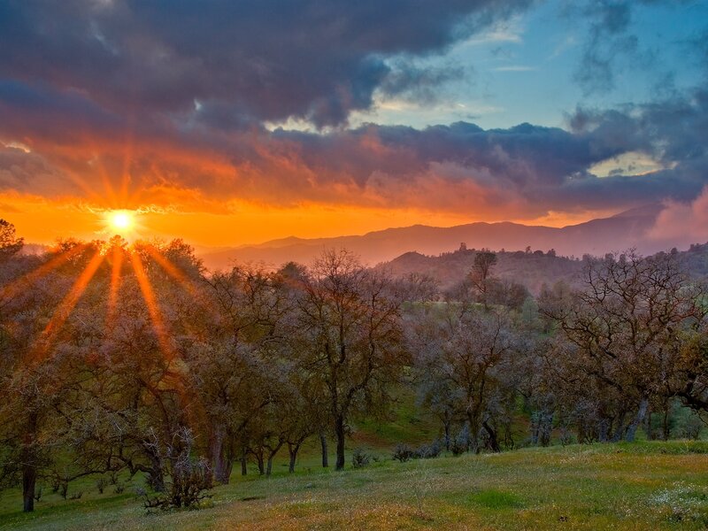 Sunset over a tree-filled valley