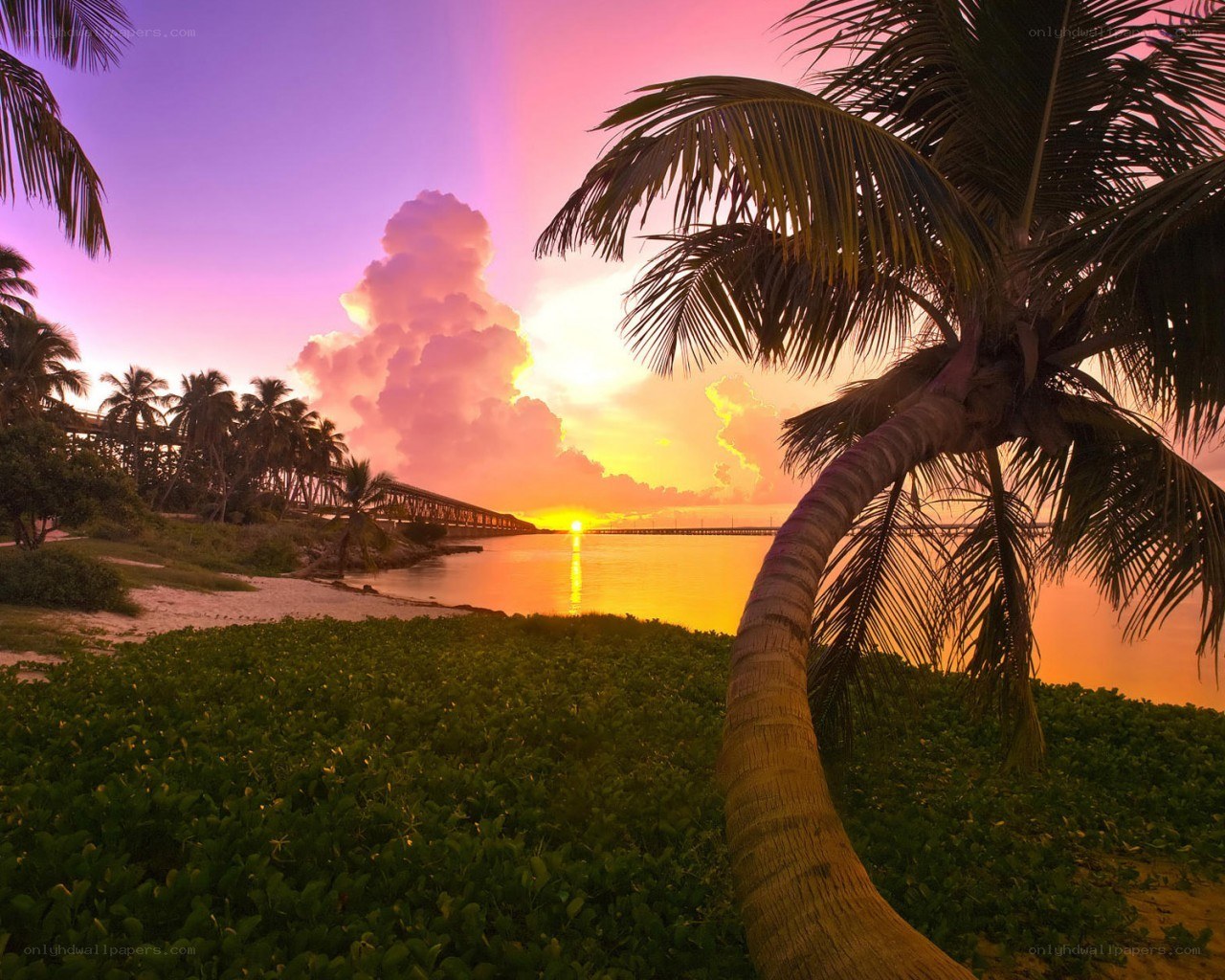 Sunset over a tropical beach