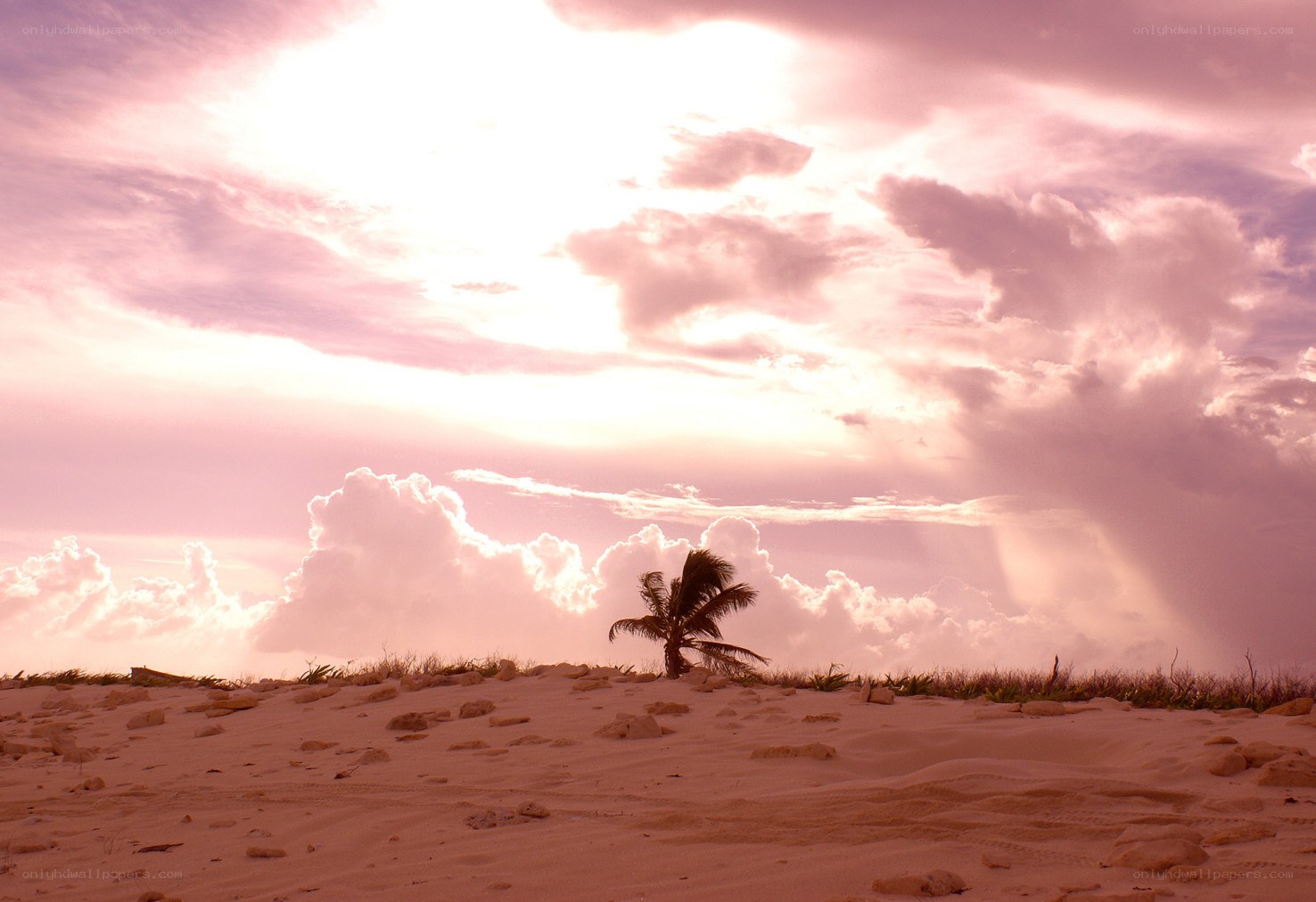 sunset over a tropical beach