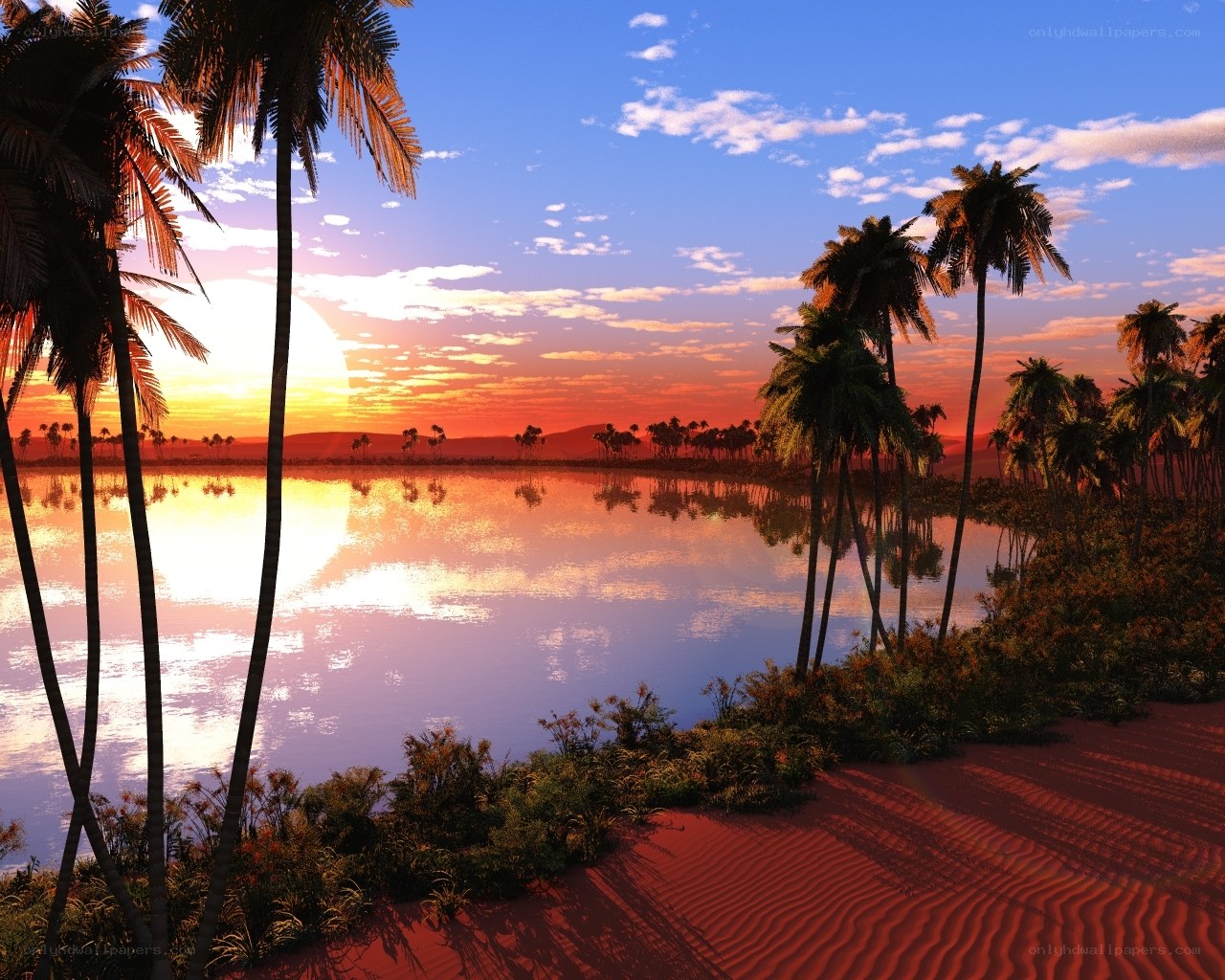 Sunset over a tropical oasis